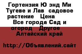 Гортензия Ю энд Ми Тугеве и Лав, садовое растение › Цена ­ 550 - Все города Сад и огород » Другое   . Алтайский край